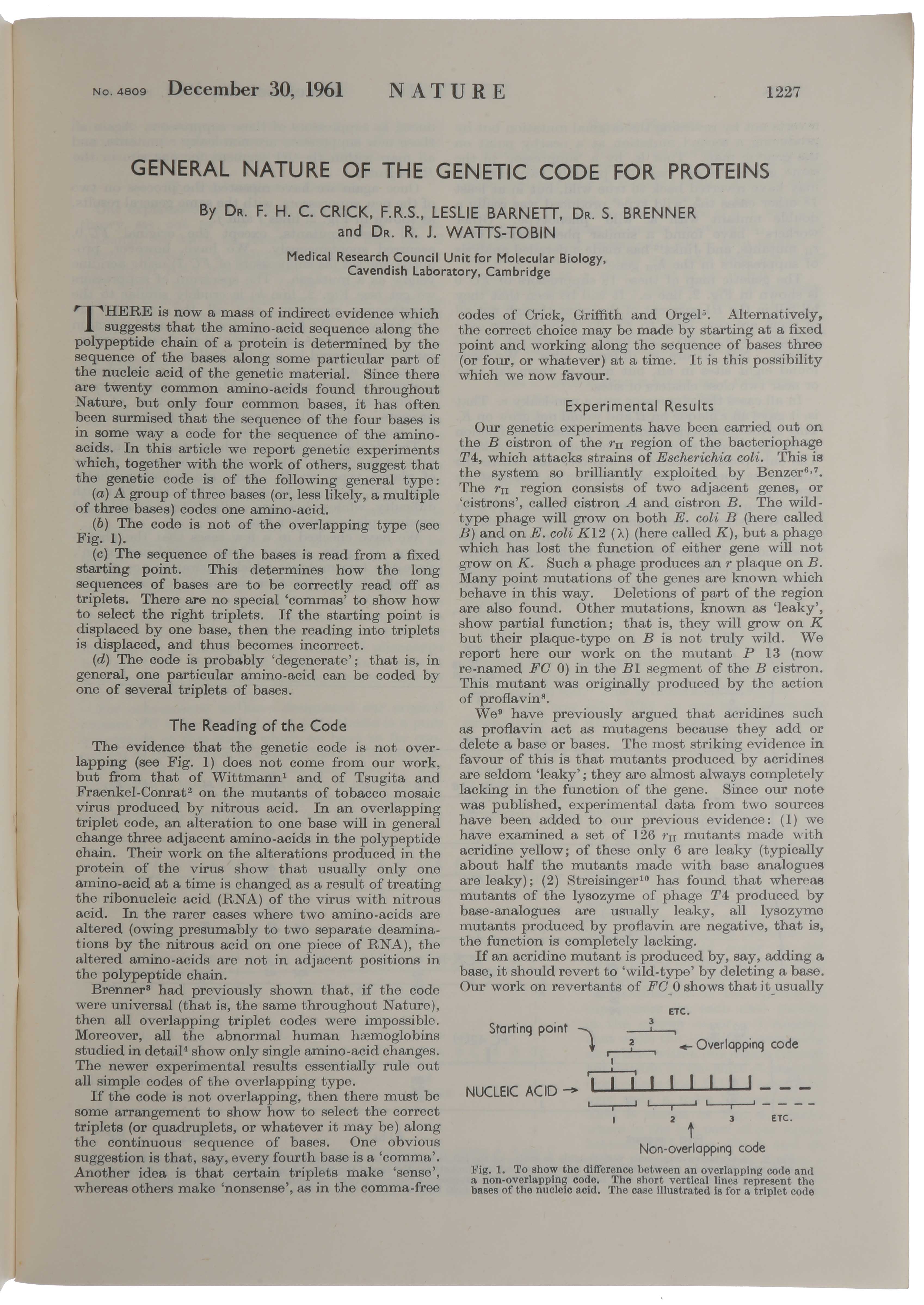sophia rare books